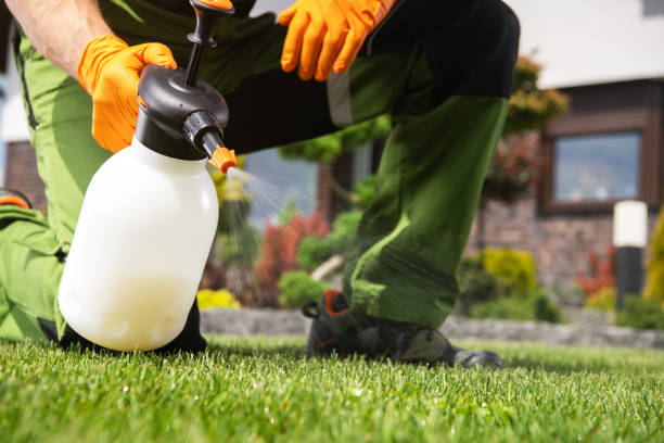 Best Pest Prevention Services  in Moses Lake, WA