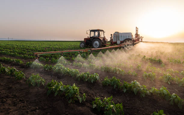 Wildlife Control Services in Moses Lake, WA