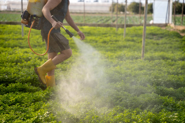 Best Rat Extermination Near Me  in Moses Lake, WA